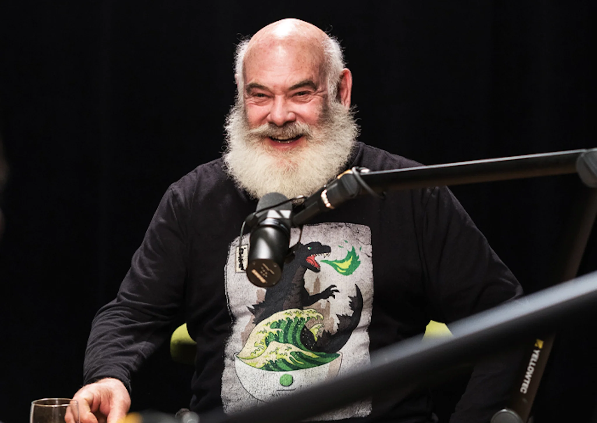 Dr. Weil Original Matchazilla - Image 2